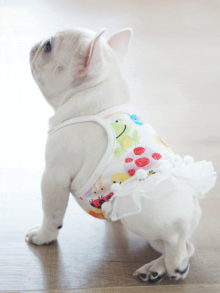 Sweet Dog Dress Suspender Skirt for Girl French Bulldogs - Frenchiely