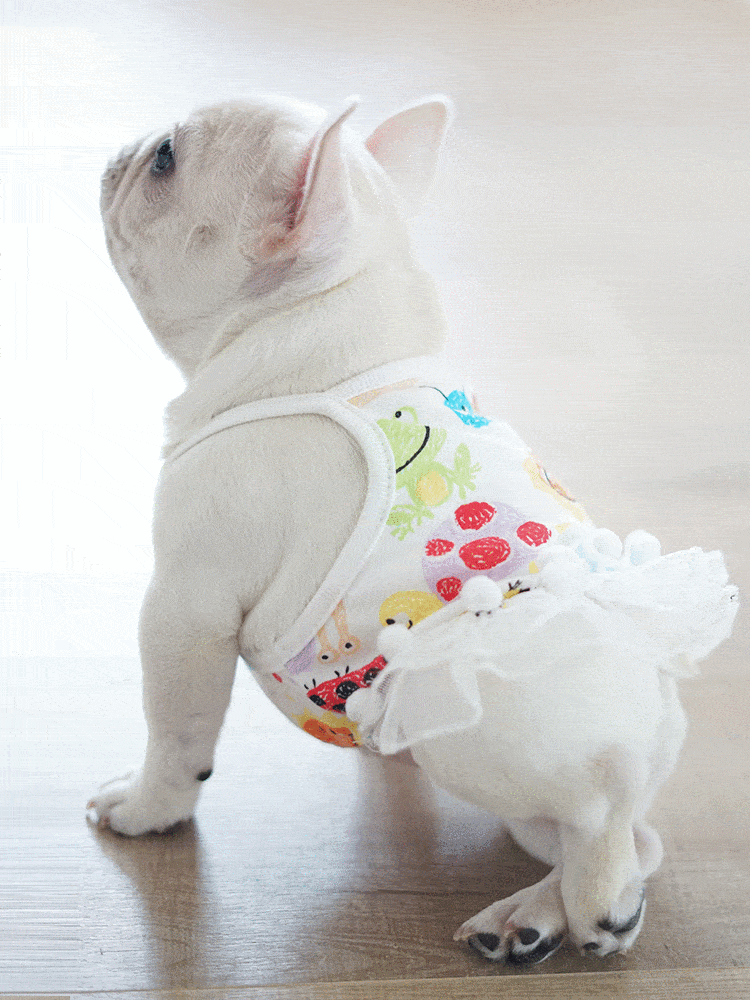 French bulldog girl clothes sales