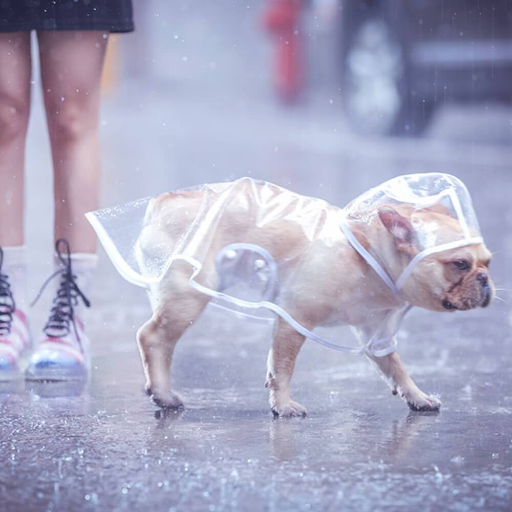 Clear Rain Coat Jackets for Medium Dogs - Frenchiely