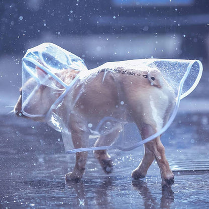 Clear Rain Coat Jackets for Medium Dogs - Frenchiely