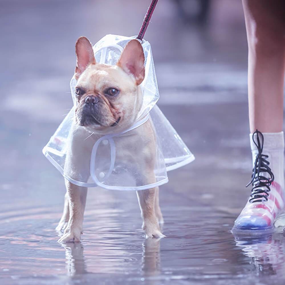 Clear Rain Coat Jackets for Medium Dogs - Frenchiely