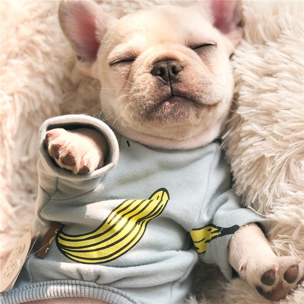 French Bulldog Puppies Onesie Pajamas - Frenchiely