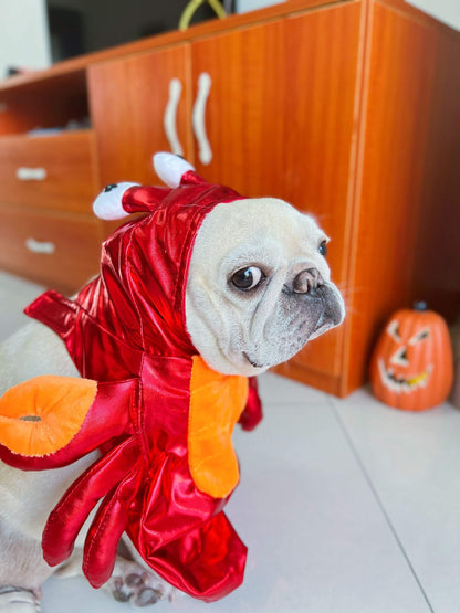 dog halloween costumes small breed