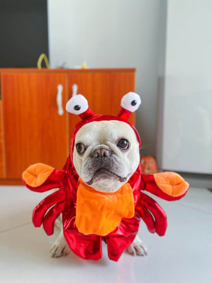 pet crab halloween costumes
