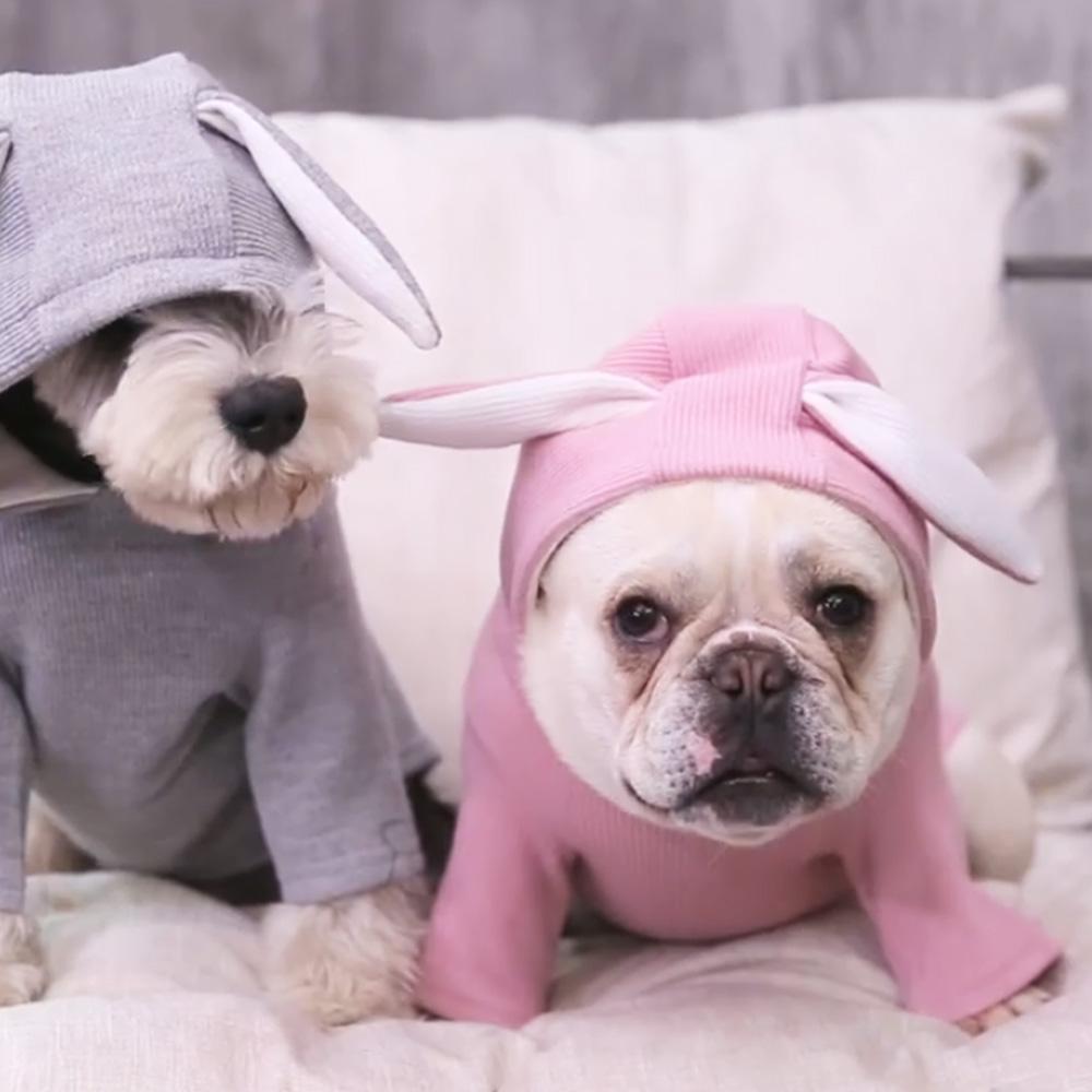 Cute Dog Hooded Sweatshirt with Bunny Ears - Frenchiely