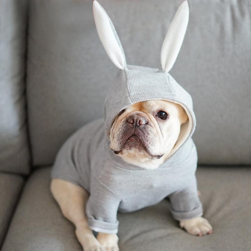 Cotton Bunny Hoodie cute-hooded-sweatshirt-for-french-bulldogs-with-bunny-ears-frenchiely