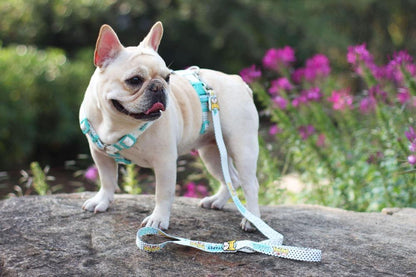 French Bulldog Pug Harness Frenchie Pet Supply Frenchiely