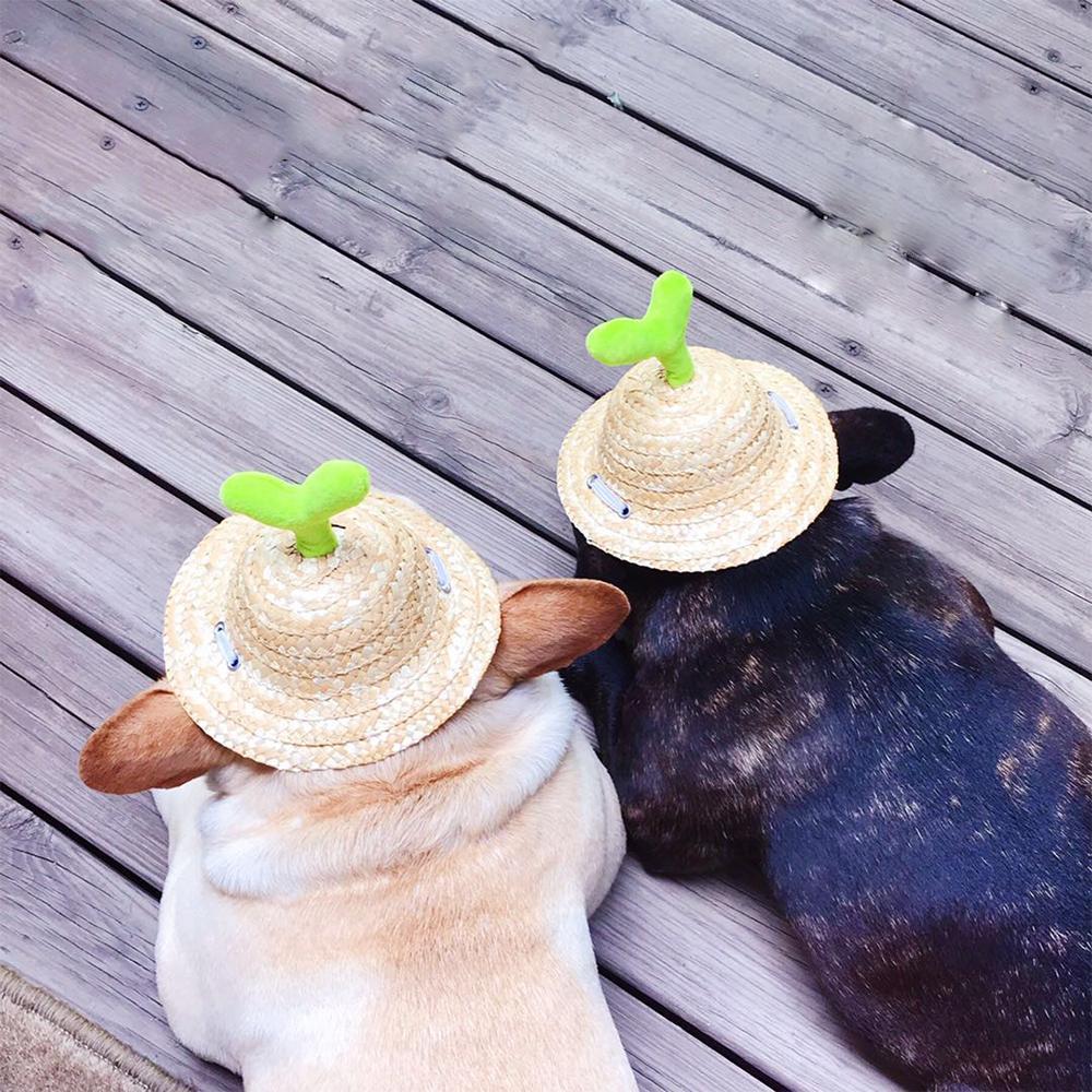 Dog Spinning Straw Hat with Drawcord for French Bulldog - Frenchiely