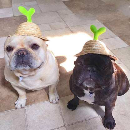 Dog Spinning Straw Hat with Drawcord for French Bulldog - Frenchiely