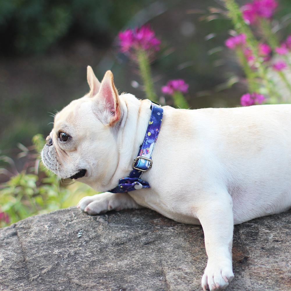 Dog Unicorn Collar with Bow Tie for Medium Dogs - Frenchiely
