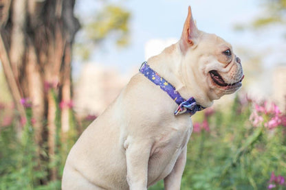 Dog Unicorn Collar with Bow Tie for Medium Dogs - Frenchiely