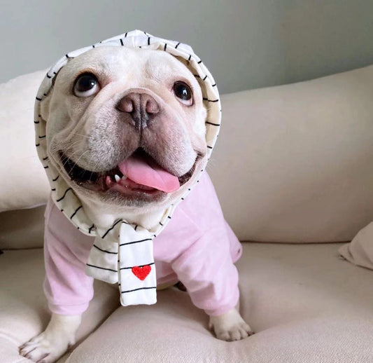 cute dog hoodies for french bulldogs - frenchiely