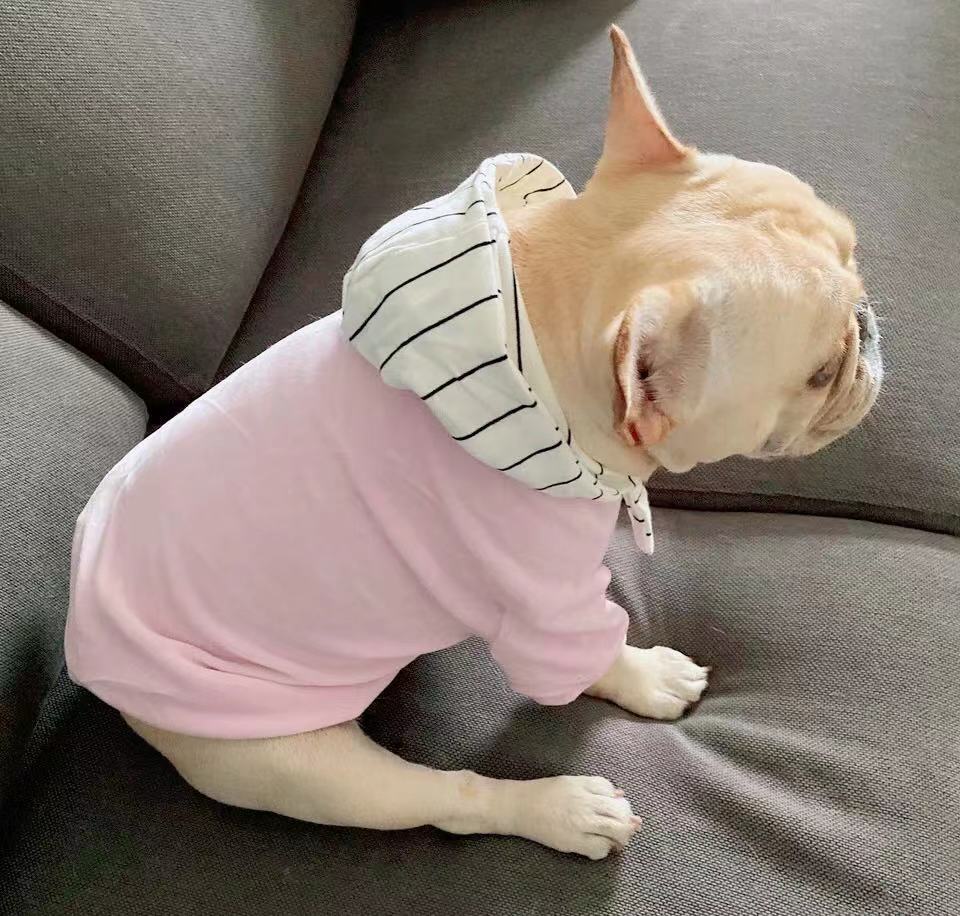 dog lilac hoodie - Frenchiely