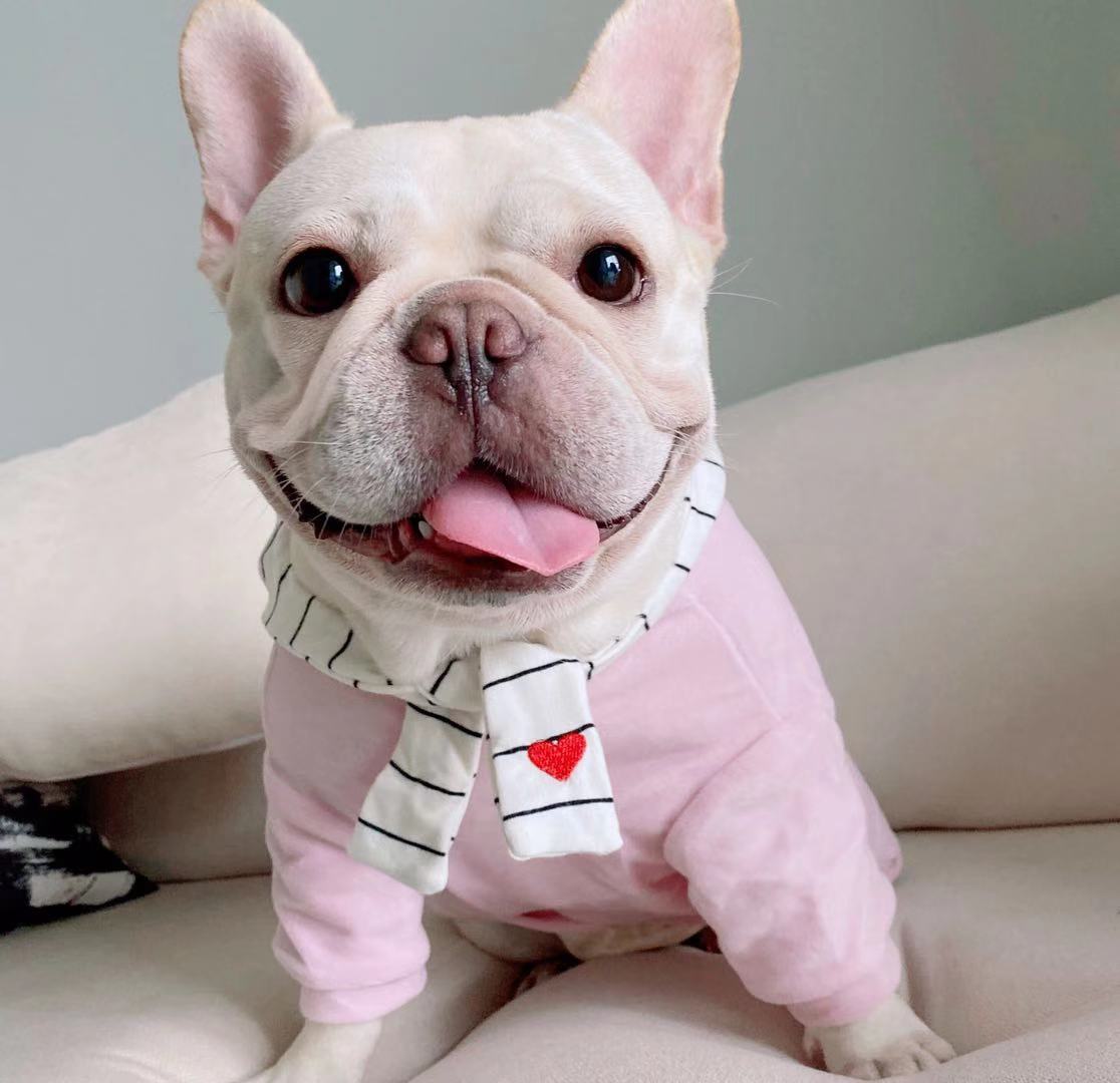 cute dog hoodies for french bulldogs - frenchiely