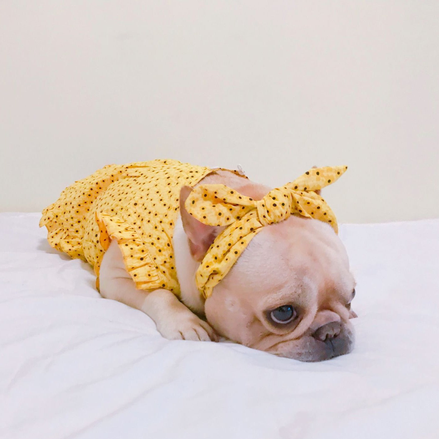 Dog Floral Puff Sleeve Dress - Frenchiely