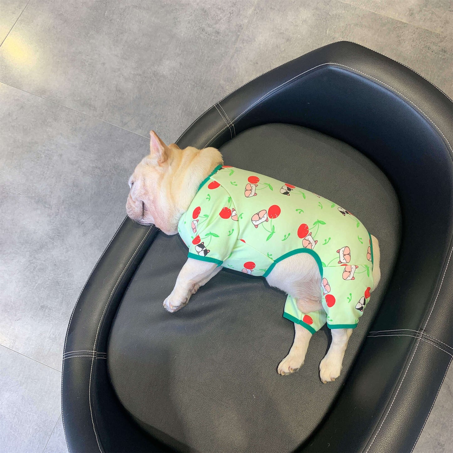 french bulldog Christmas outfits