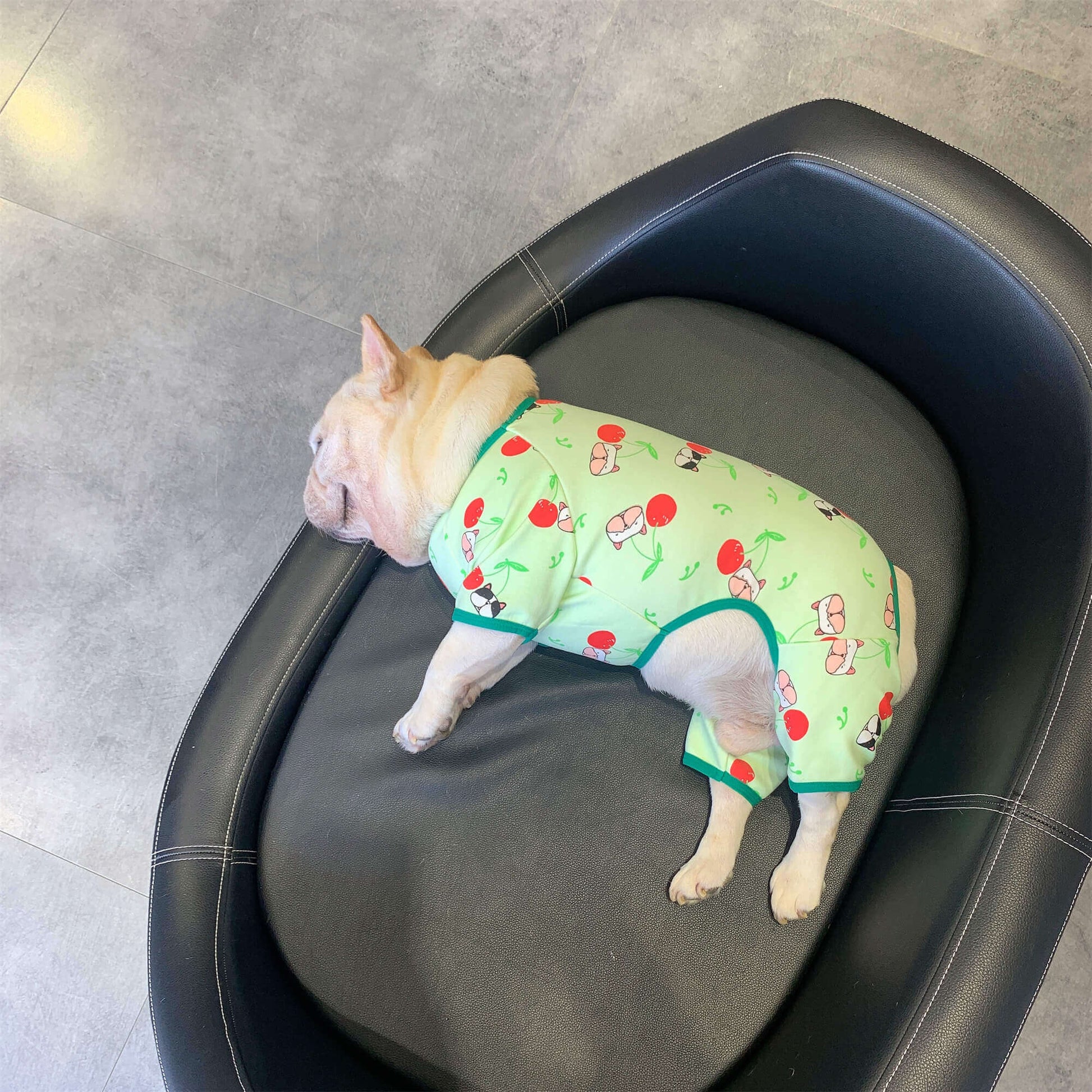 french bulldog Christmas outfits