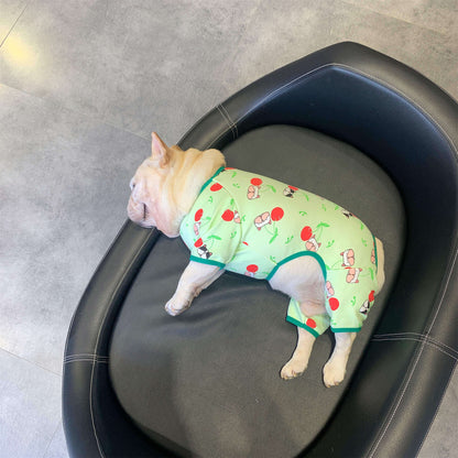 french bulldog Christmas outfits