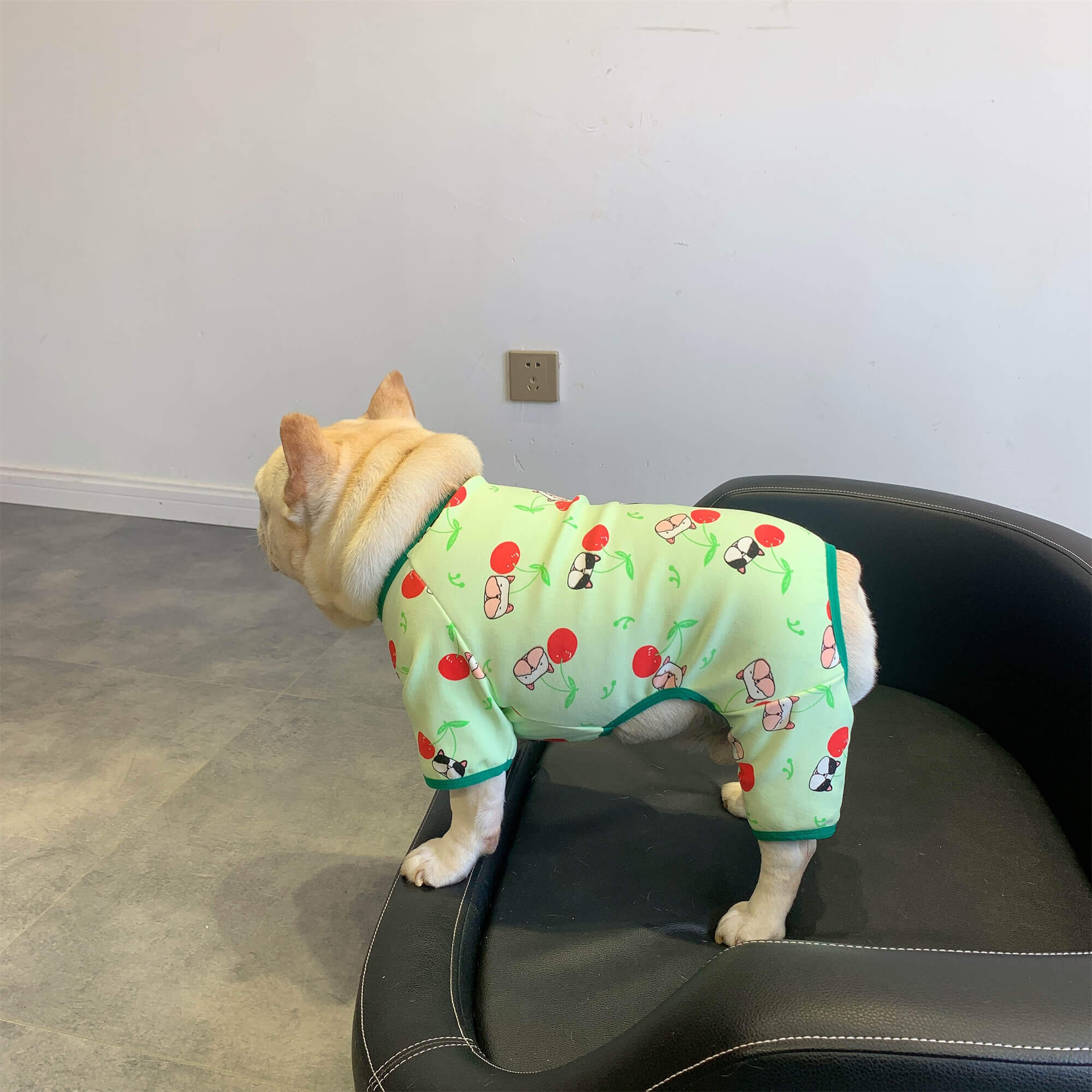 Dog Christmas clothes for small medium dogs