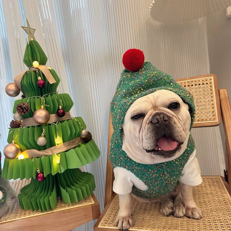 Dog Christmas Holidays Clothes Apparel