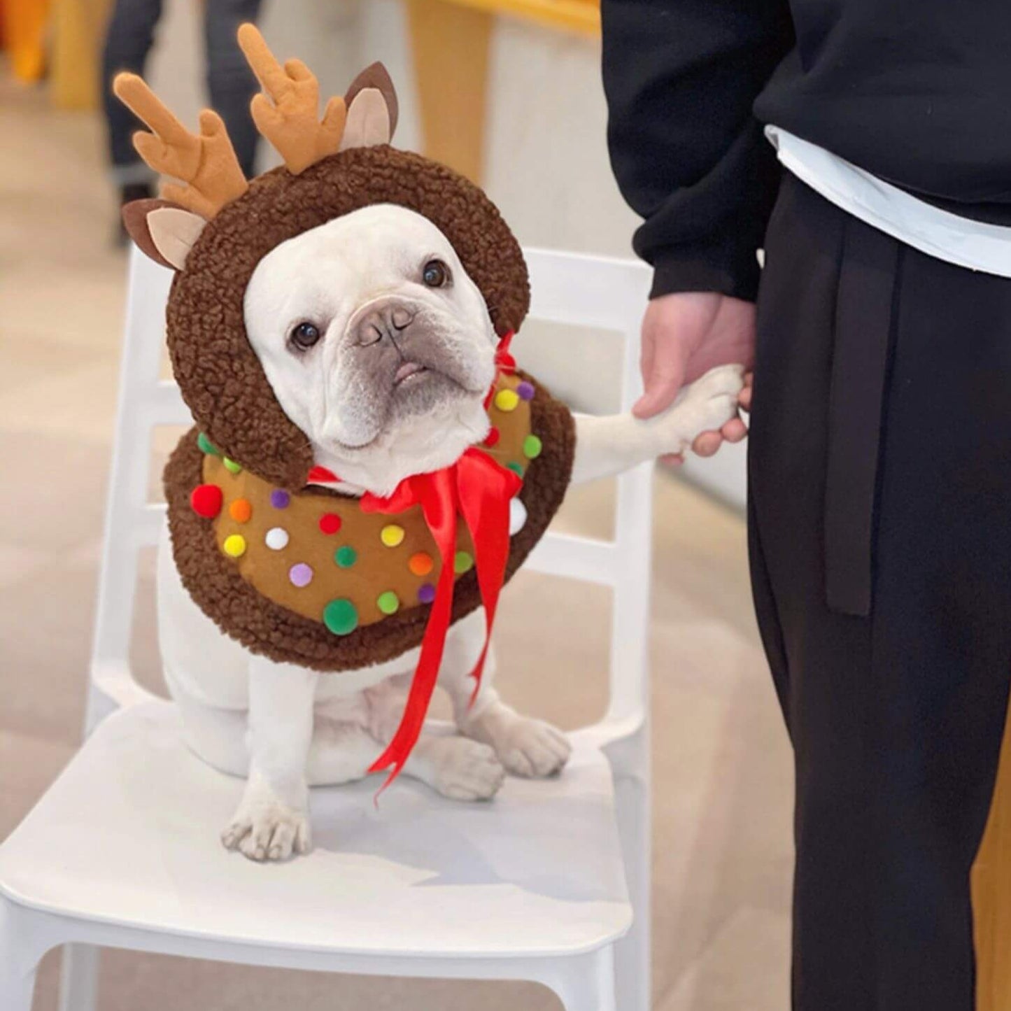 Dog Christmas Reindeer Cloak for Medium Dogs BY FRENCHIELY 