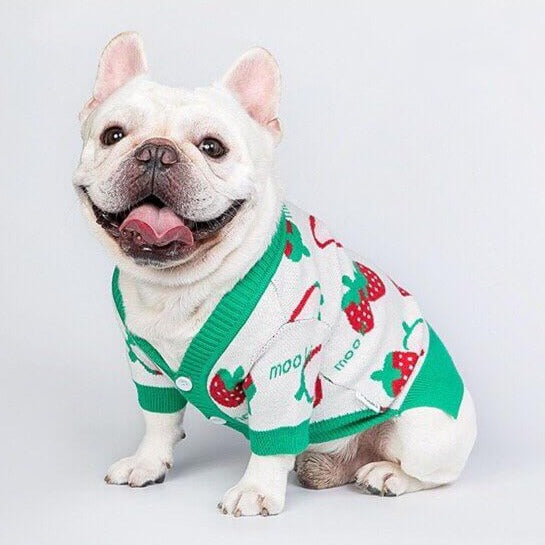 Dog Strawberry Christmas Sweater Outfits for Medium Dogs by Frenchiely 