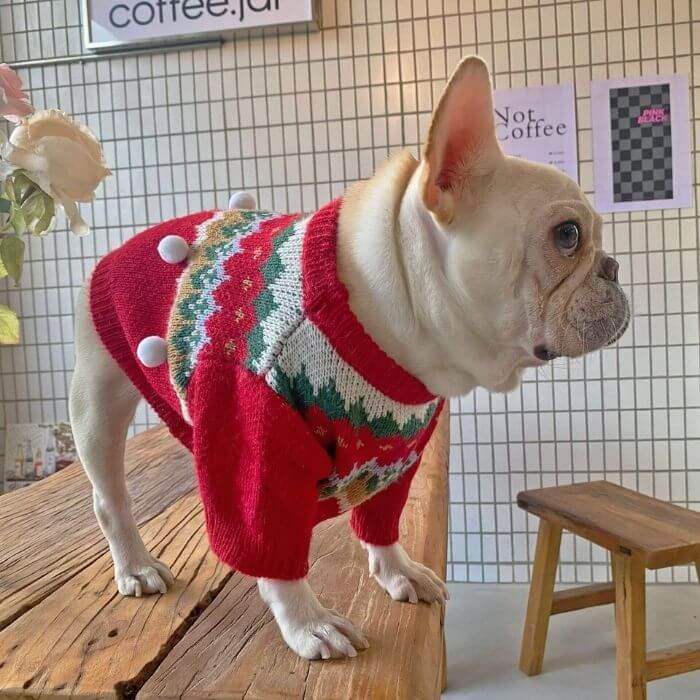 Dog Christmas Tree Sweater Outfits Costume for Medium Dogs BY FRENCHIELY 