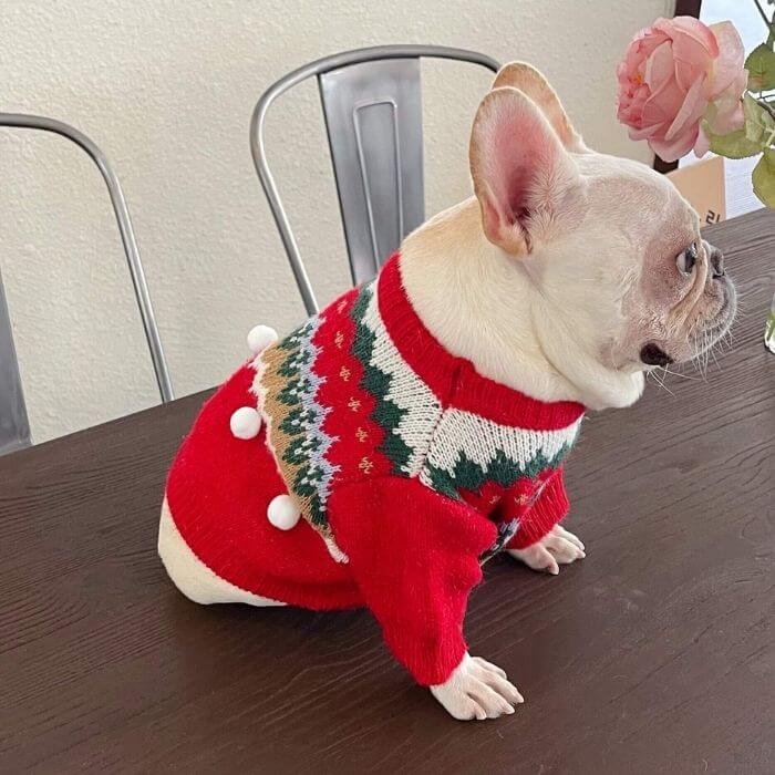 Dog Christmas Tree Sweater Outfits Costume for Medium Dogs BY FRENCHIELY 