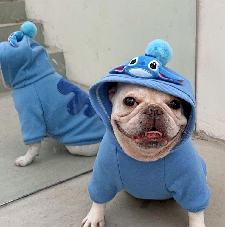 dog stitch costume hoodies 