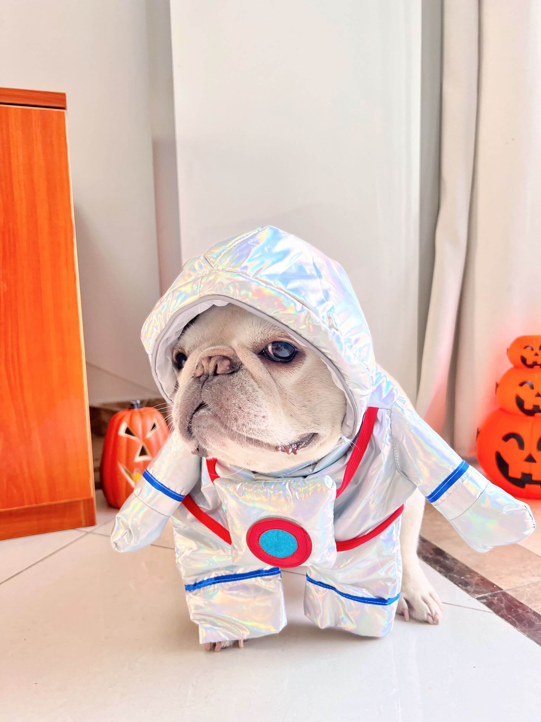 astronaut costume for dogs