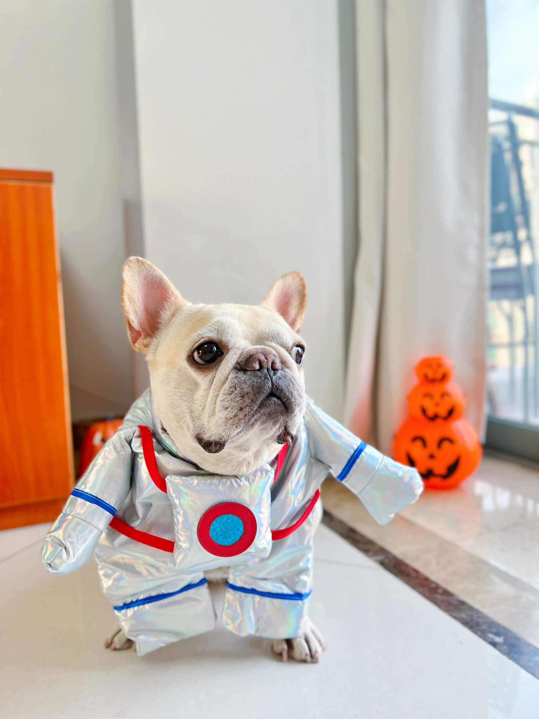 astronaut dog costume for sale