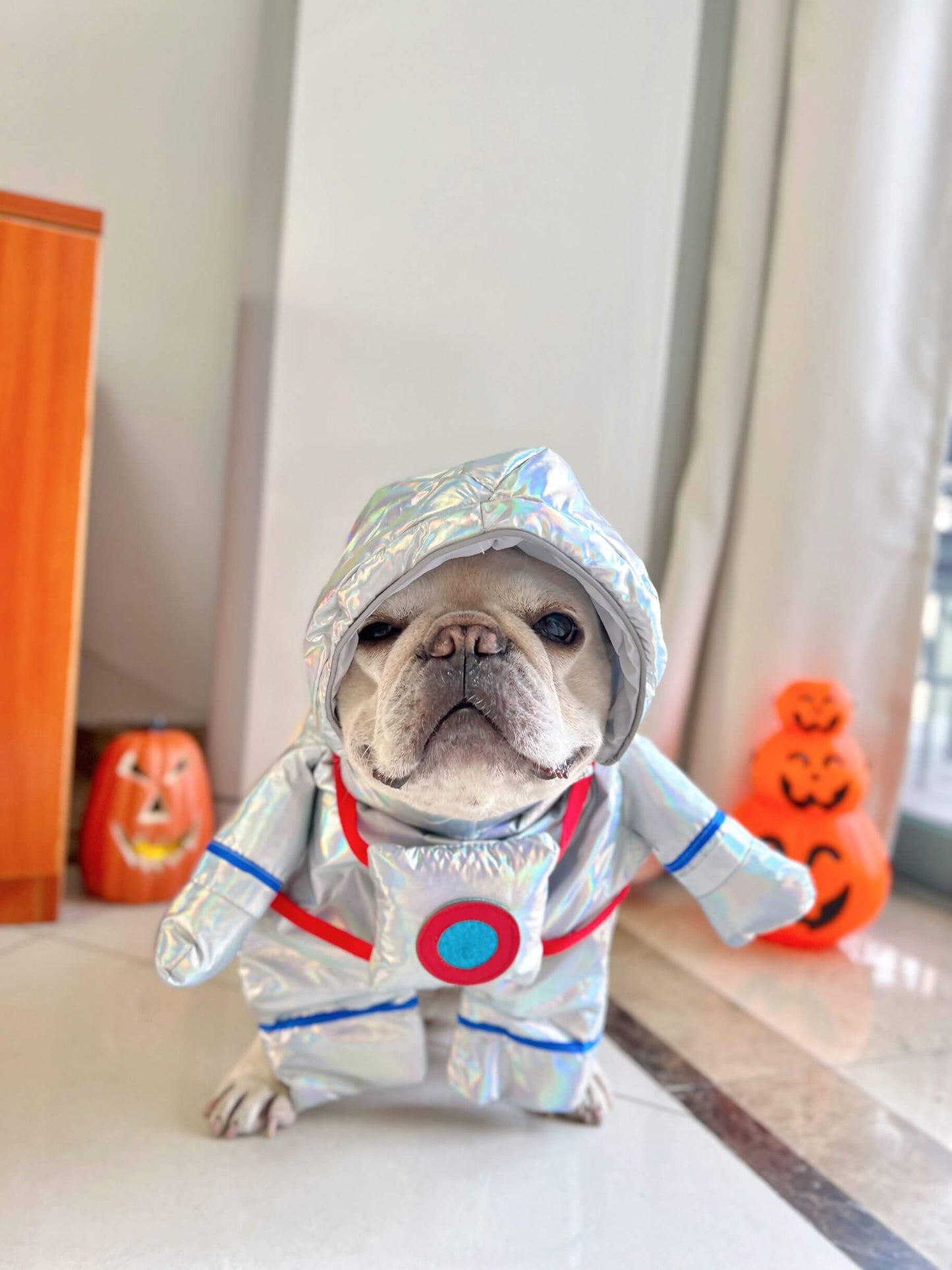 dog astronaut halloween costumes