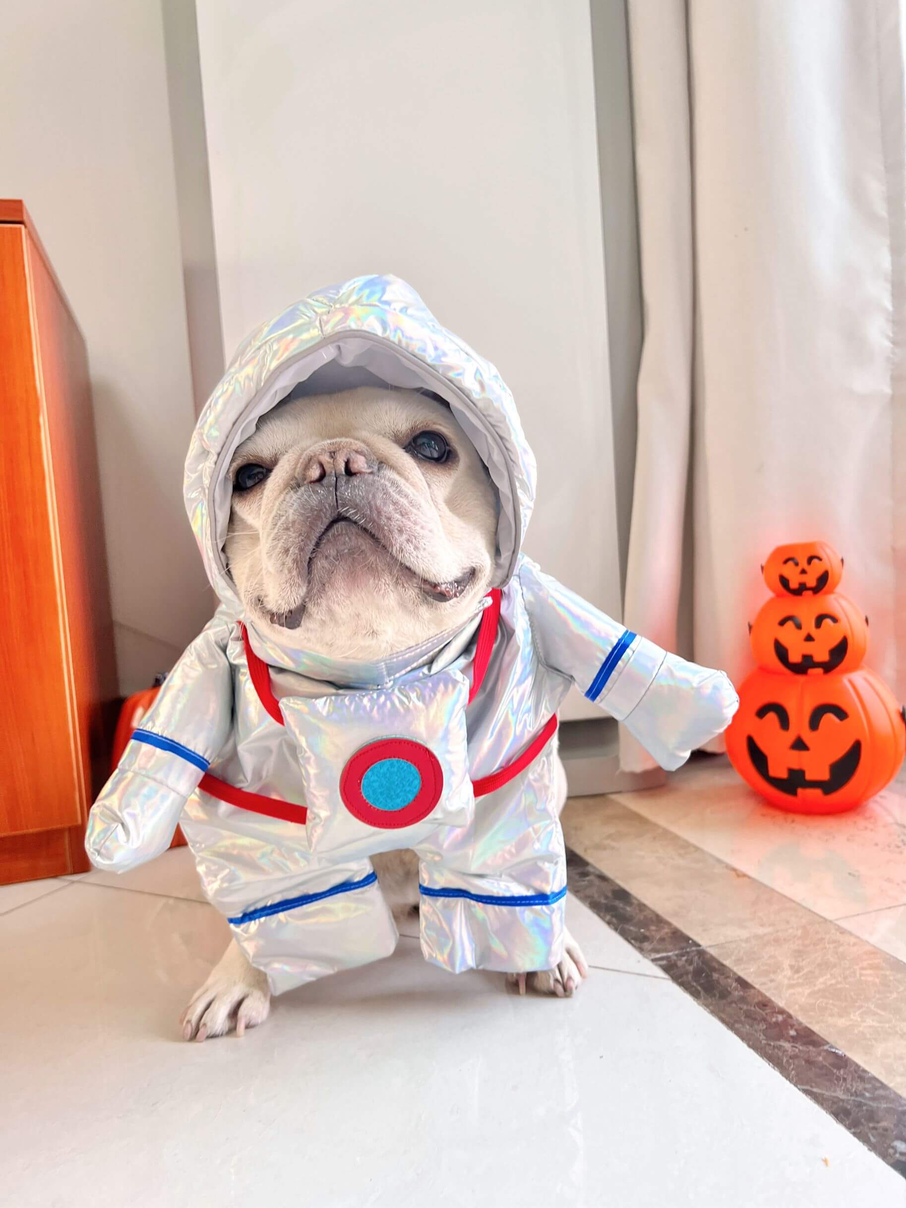 dog astronaut costume petsmart