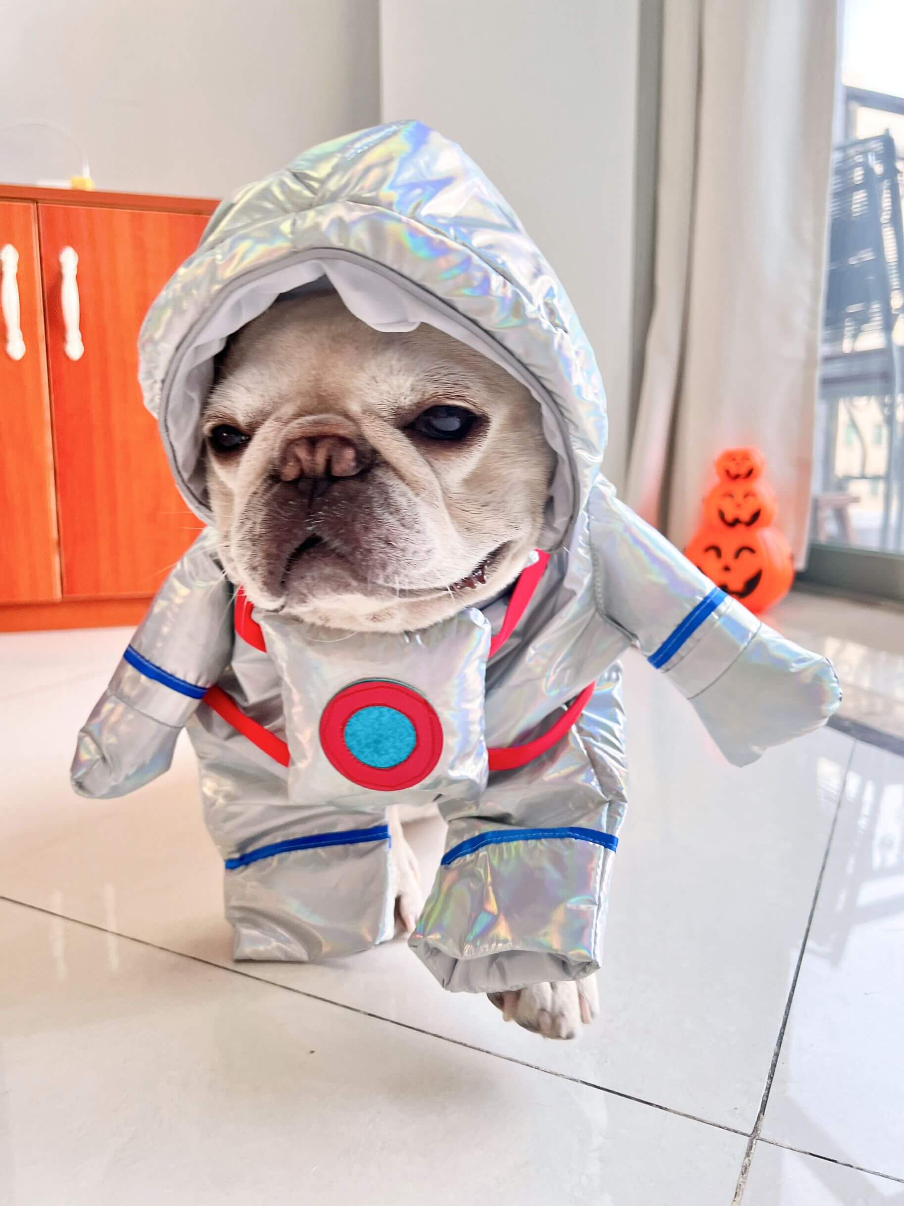 dog astronaut costume diy