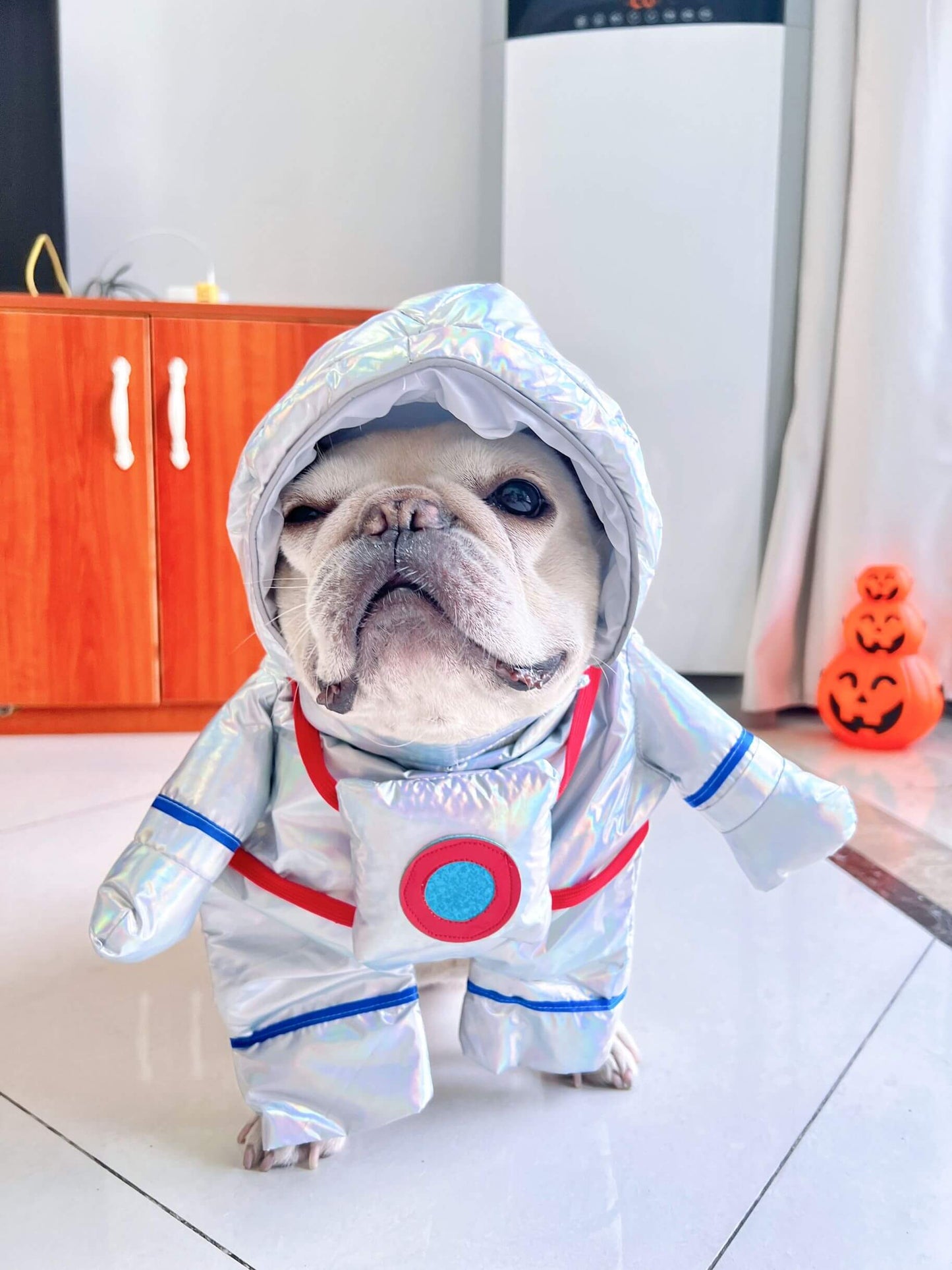 small medium large dog astronaut costume