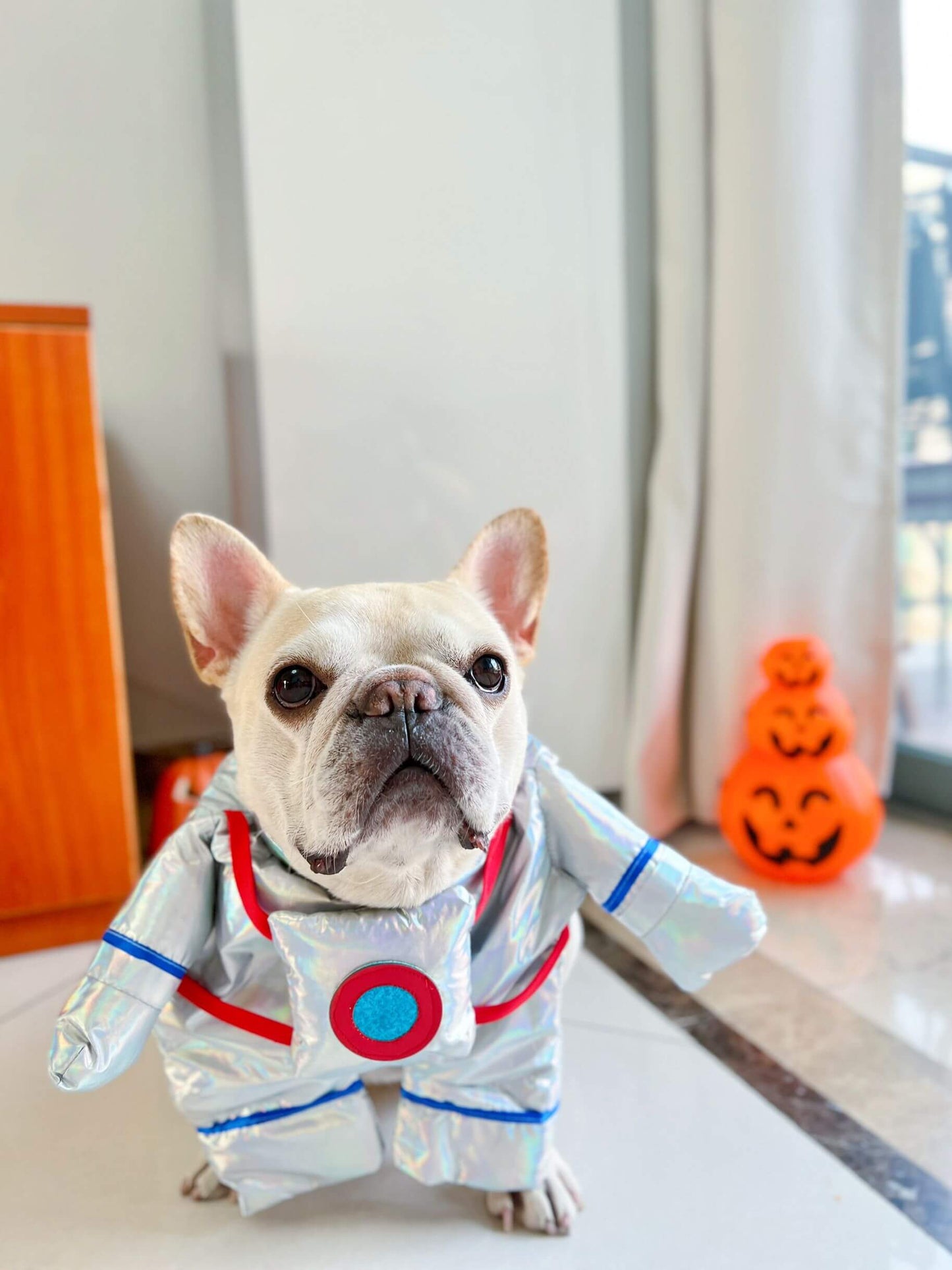 target astronaut dog costume