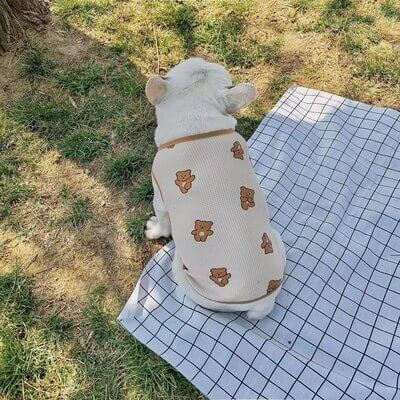 Puppy Bear Waffle Fabric Shirt for small medium dogs by Frenchiely 