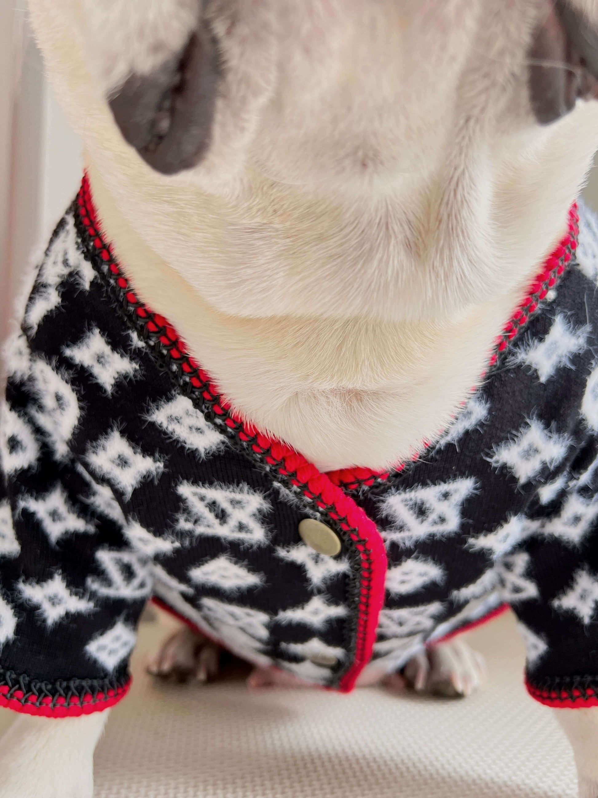 dog cardigan winter clothes