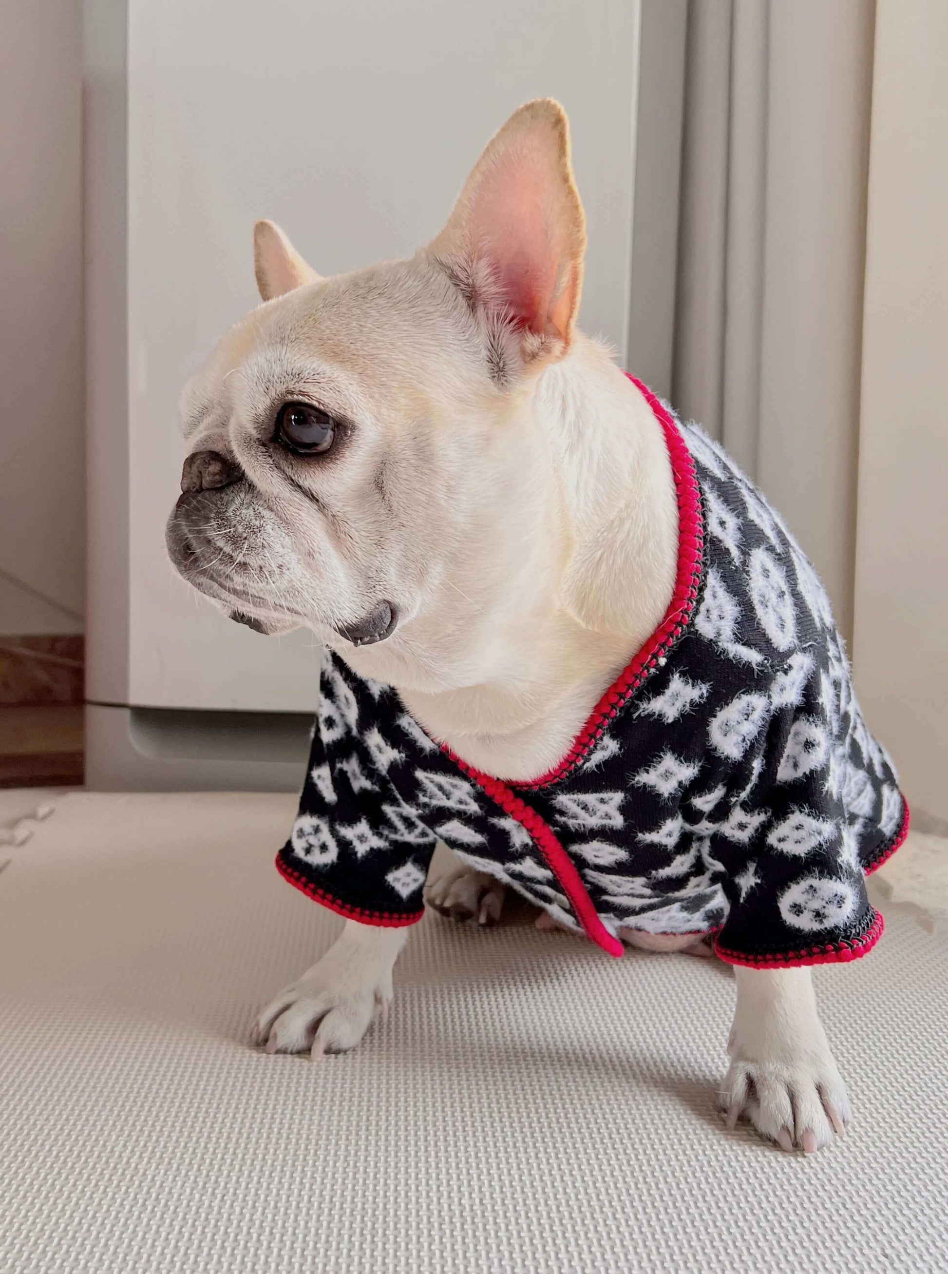 dog black cardigan sweater in 2022