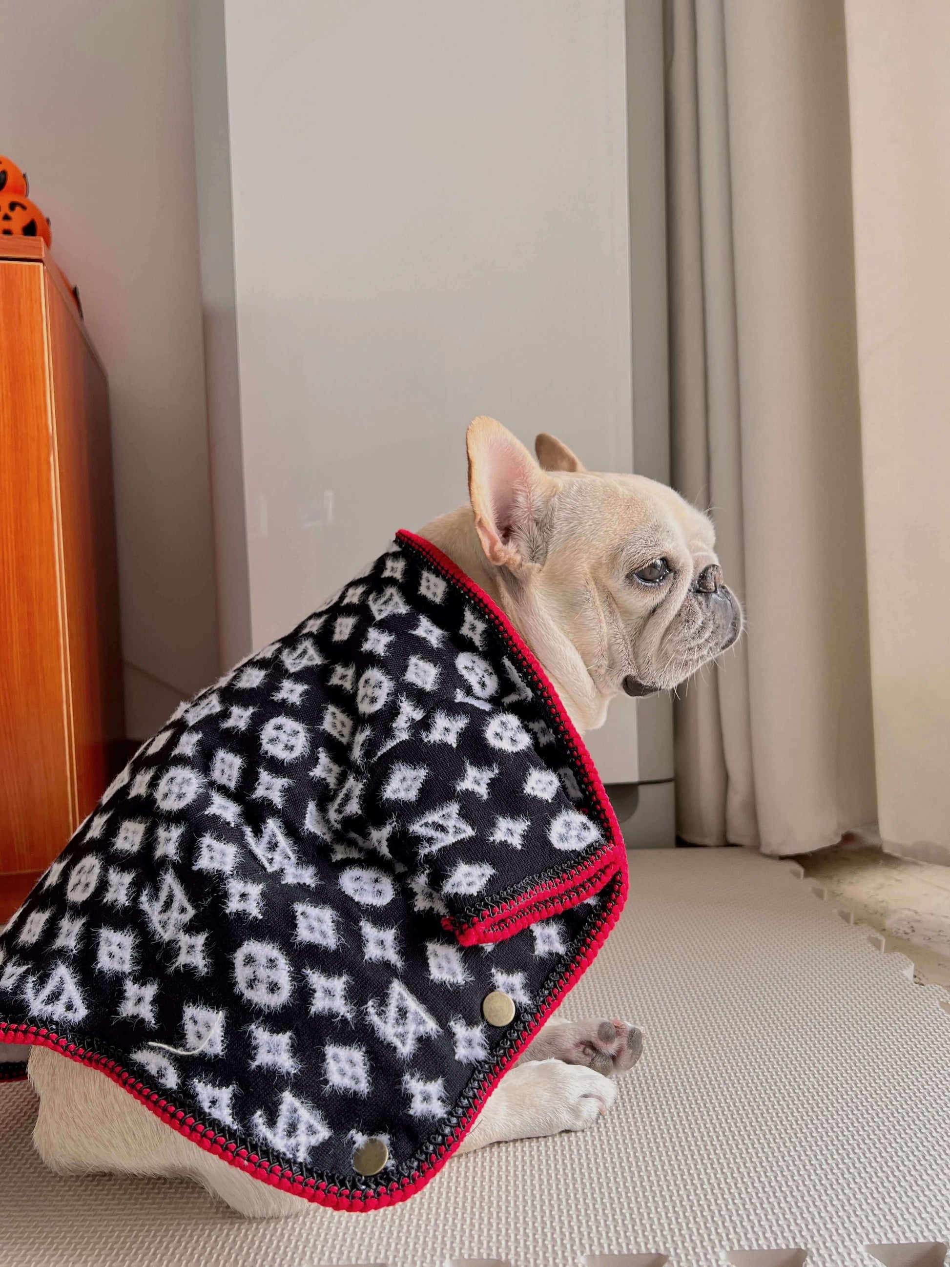 dog soft warm sweater cardigan