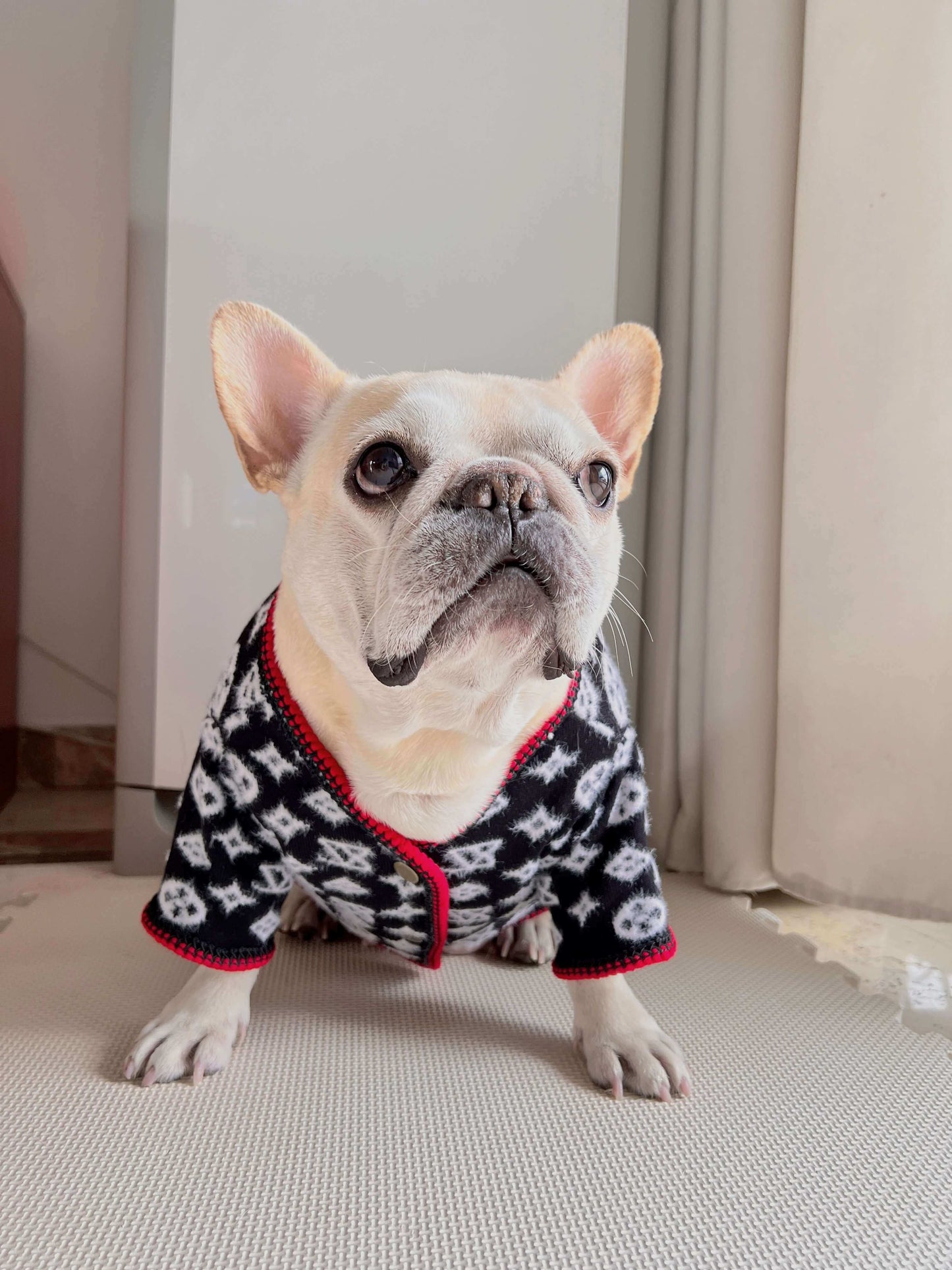 french bulldog winter clothes