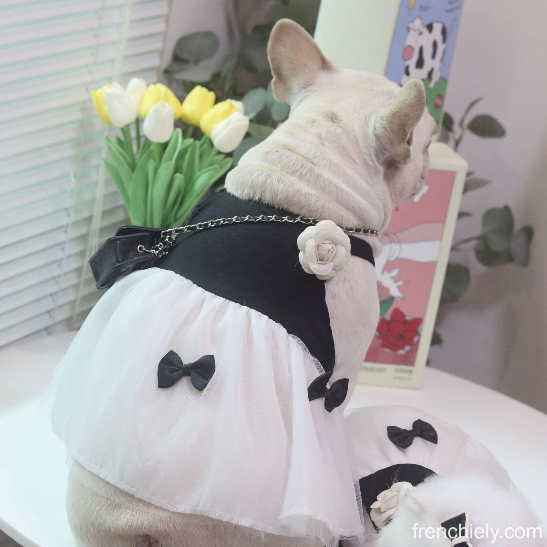 Dog Black Dress with Flower Pin for small medium dogs
