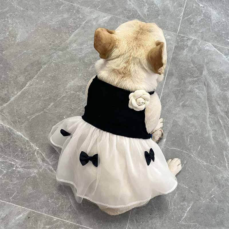 Black Dress with Flower Pin FOR FRENCH BULLDOGS BY FRENCHIELY