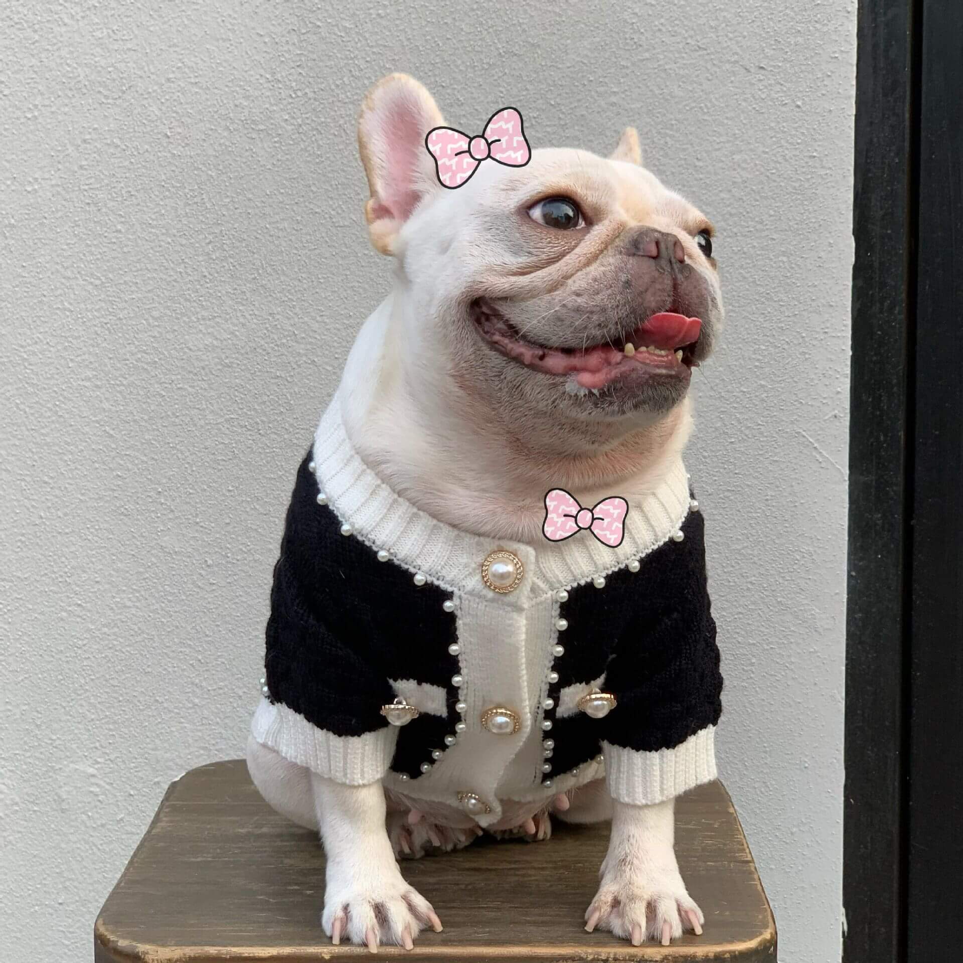 dog black and white cardigan for medium dogs by Frenchiely