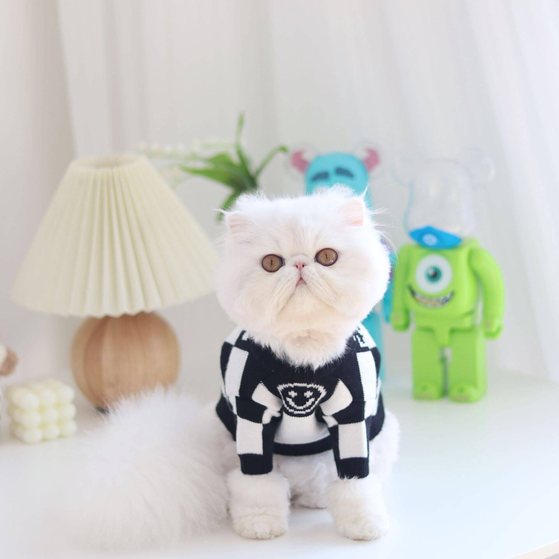 Dog Blackcheck Pullover Sweater for French Bulldogs BY FRENCHIELY 