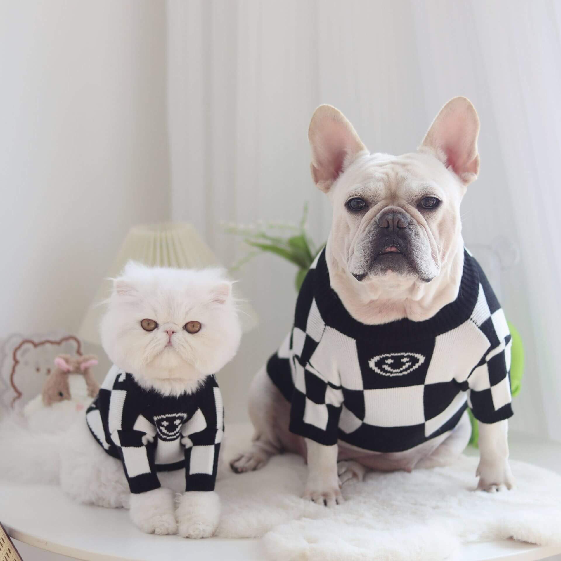 Dog Blackcheck Pullover Sweater for French Bulldogs BY FRENCHIELY 