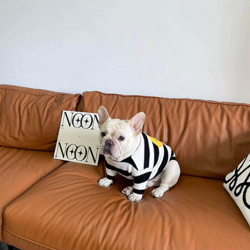 Dog black emoji sweater for small medium dogs by Frenchiely