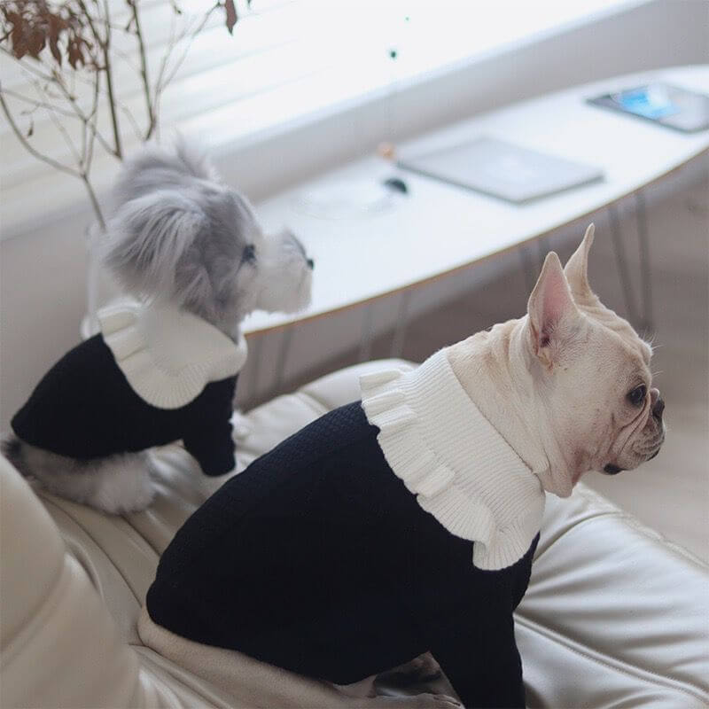 dog black and white sweater for medium dogs