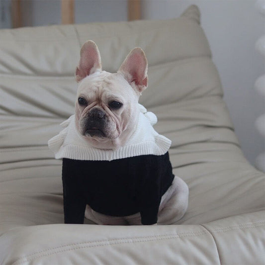 dog sweater knit flat