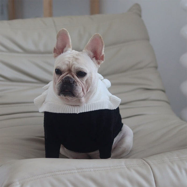 dog sweater knit flat